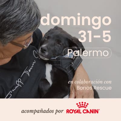 Edición n132- Yoga con perritos